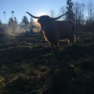 Meet your Posher, Olivia